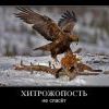 не спасёт... не спасёт...
