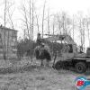 Вырубка в парке Вырубка в парке