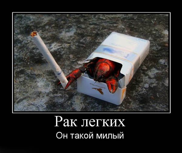 рак  лёгких....