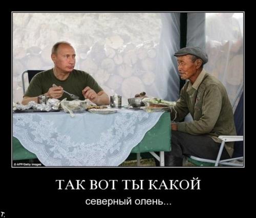 1255238122 demotivators 105