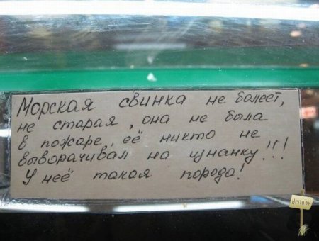 хи=)