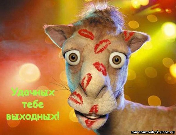 Приятных выходных)))