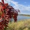 Осенью тоже клёво