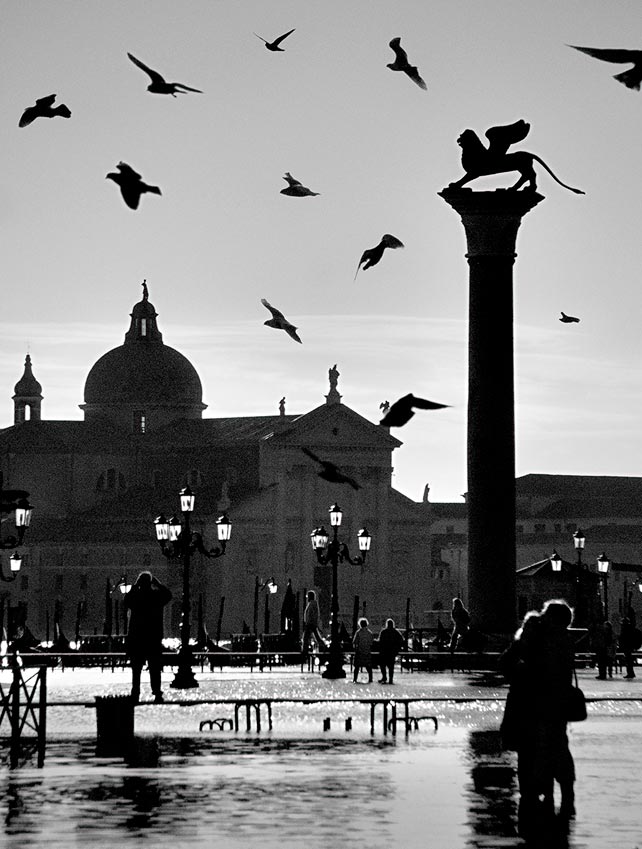 Площадь свободного полета