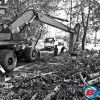 В ходе работ по установке счетчика тепла спилили 4 дерева. Два из них - только потому, что они находились прямо над теплотрассой