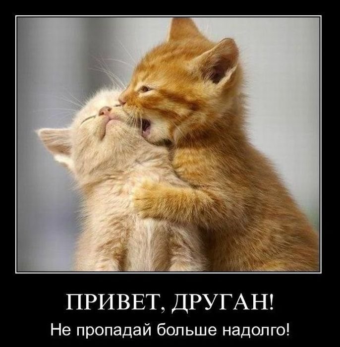друганя
