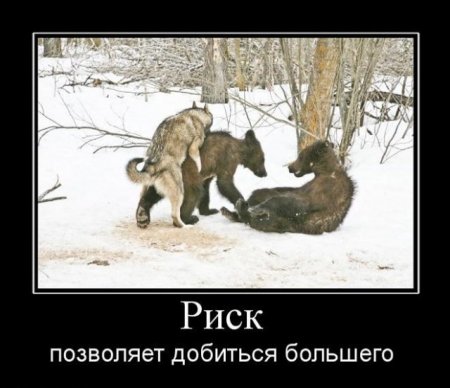 риск......