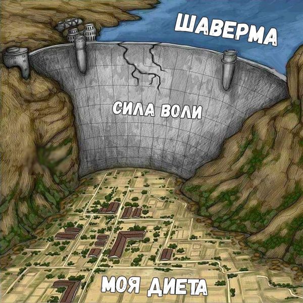 Сила воли