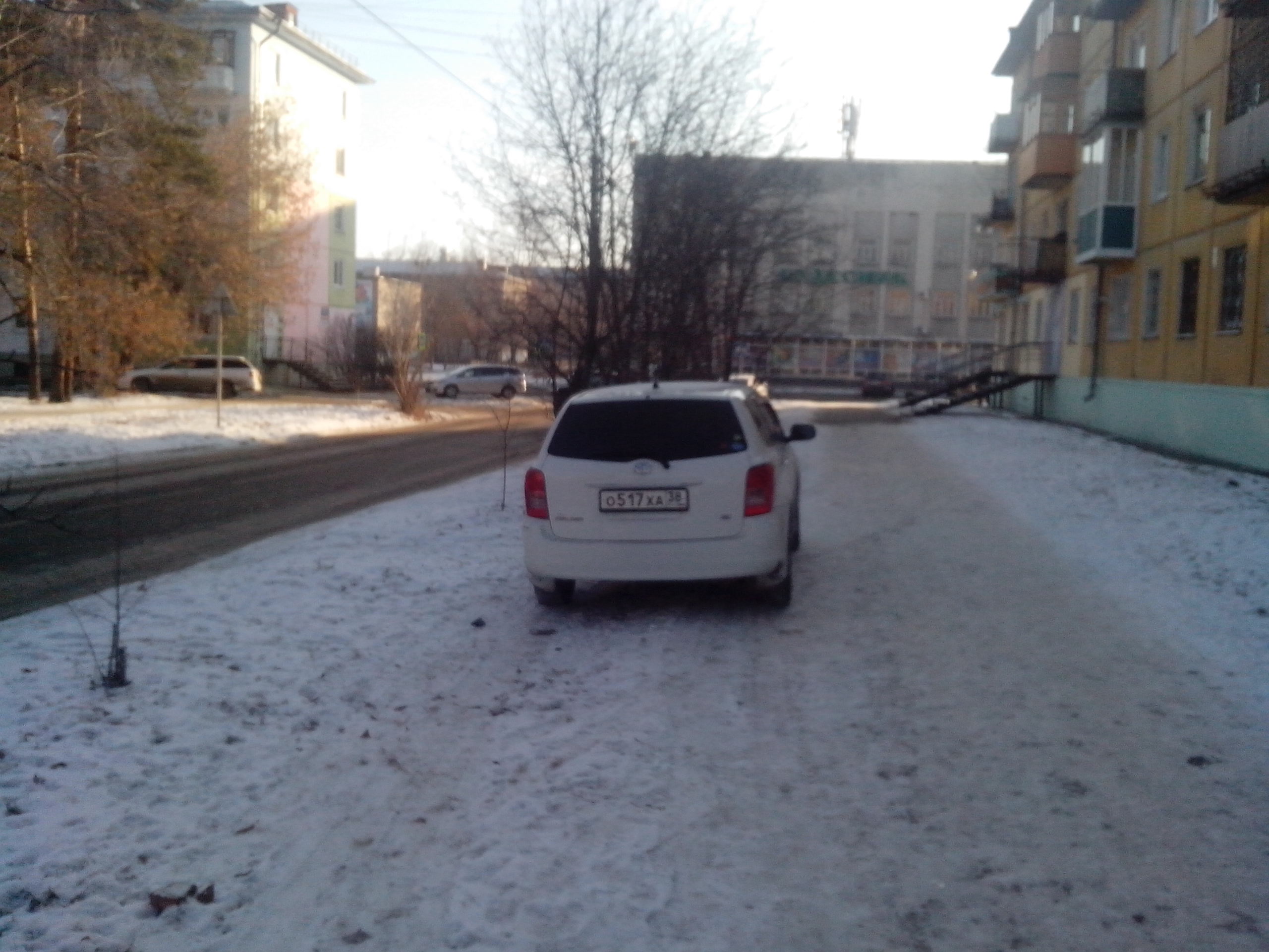 Водятел