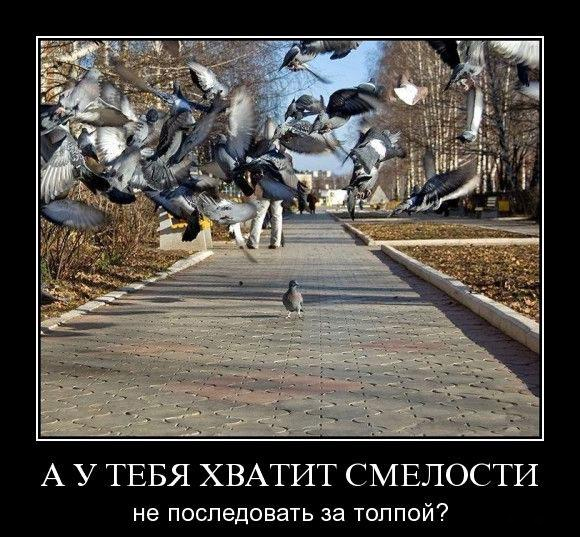 5870783ntz