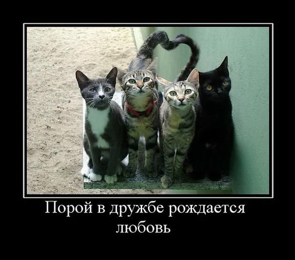 :)