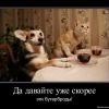 в ожидании
