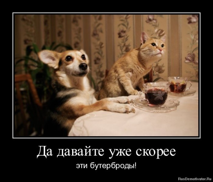 в ожидании