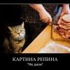 :) котэ :) котэ