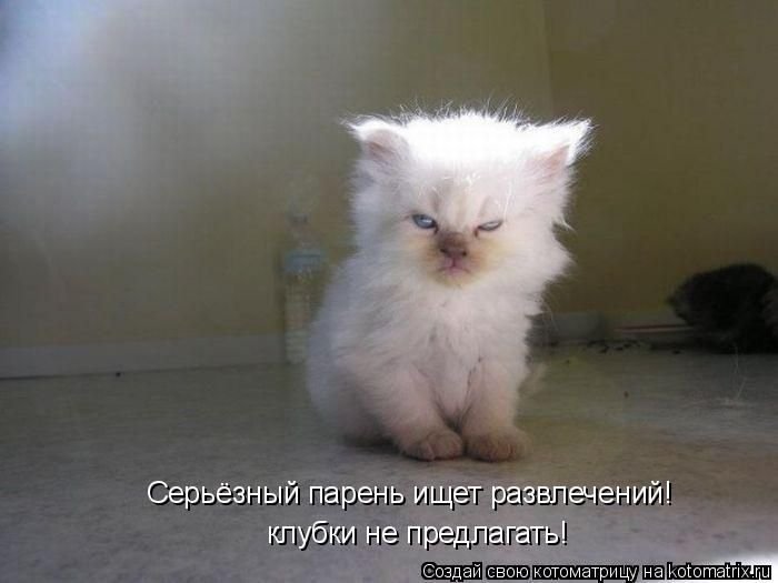 котэ