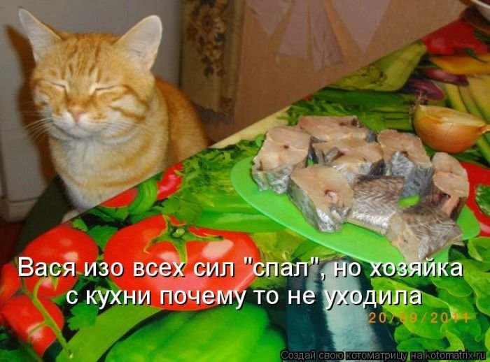вася