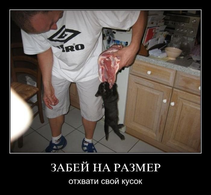 котэ