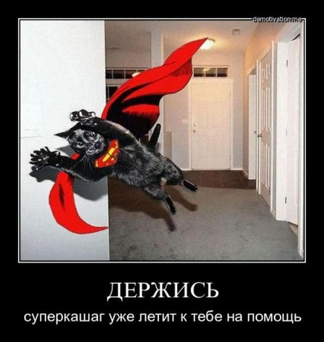 суперкот
