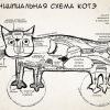 схема котэ