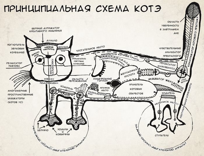 схема котэ
