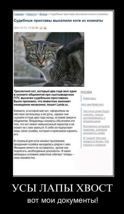 мандат
