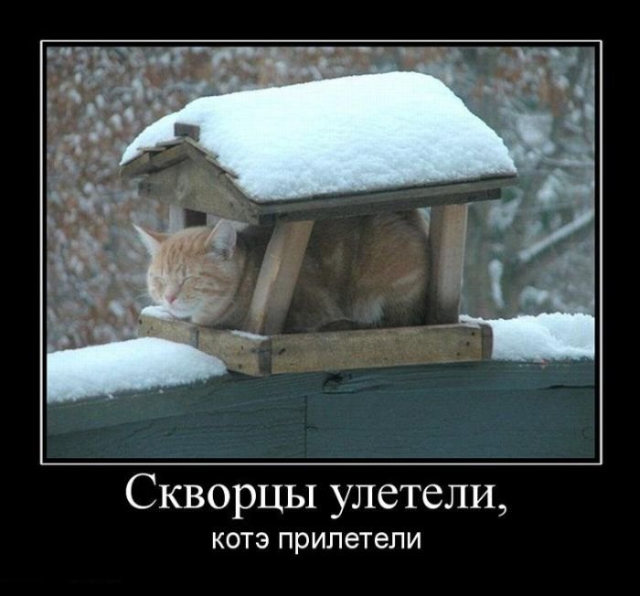 под крышей дома своего