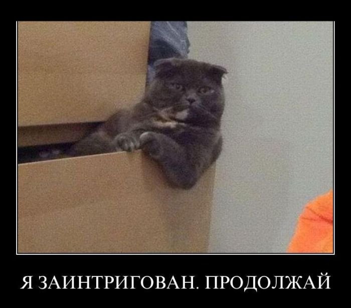 дымок