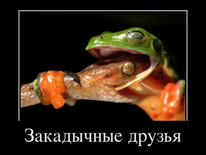на следующую неделю ;)