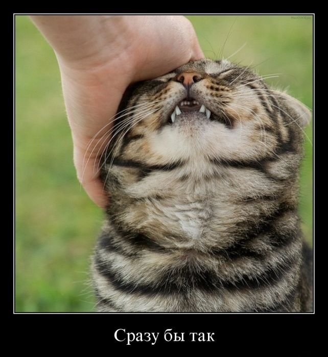 :)