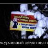 елки в законе :)