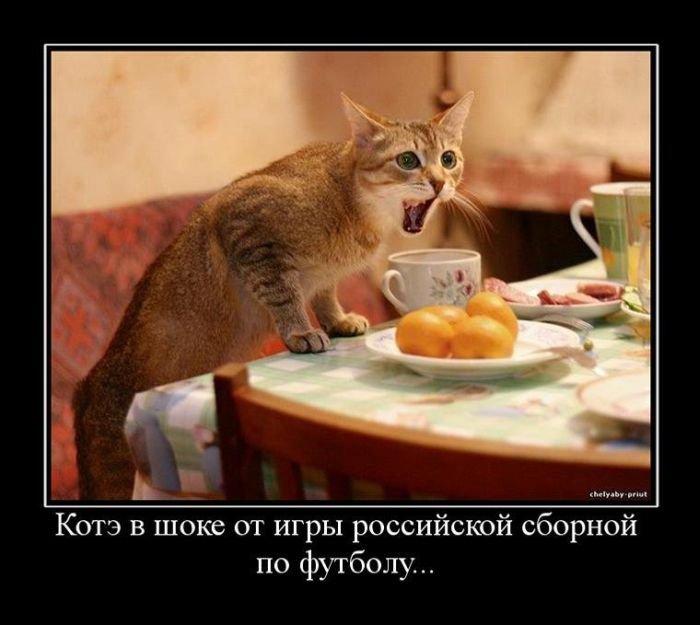 фанат