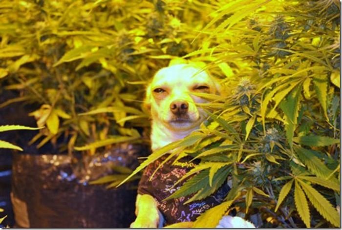 :)
