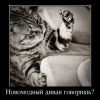 с обновкой с обновкой
