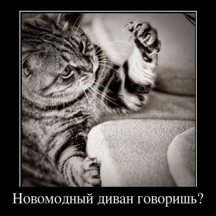 с обновкой