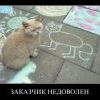 портрет мелом.. портрет мелом..
