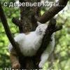 осень