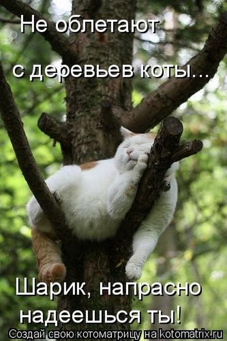 осень