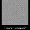 фокус фокус