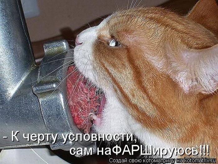 фаршировка