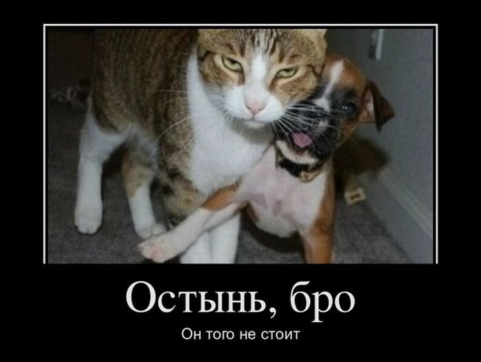 :)