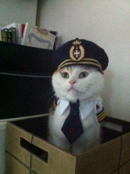 КОпиТан