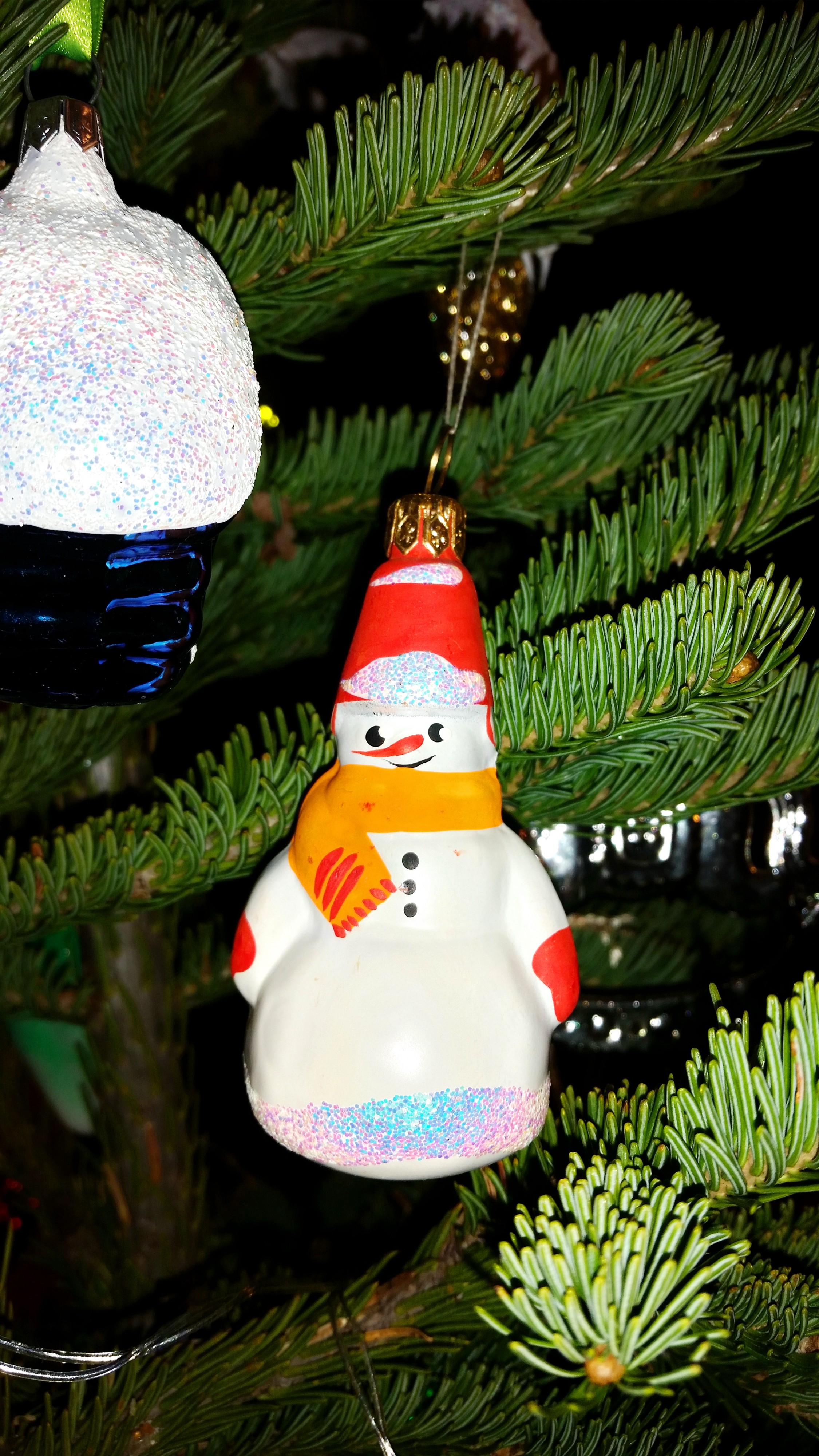 снеговиг йолочный)))))