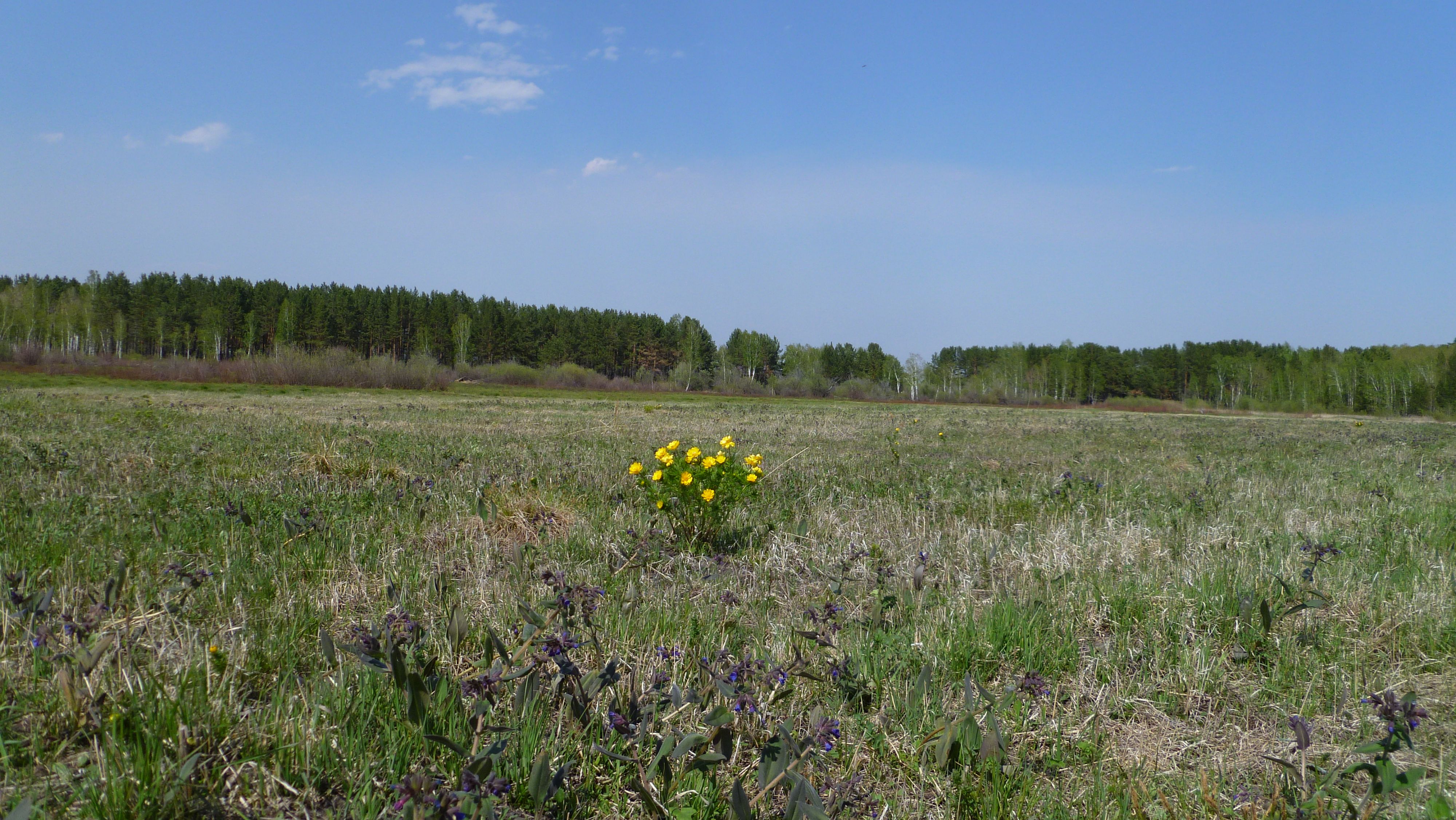 Букет вырос