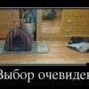 Выбор очевиден