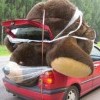 Подарок Подарок