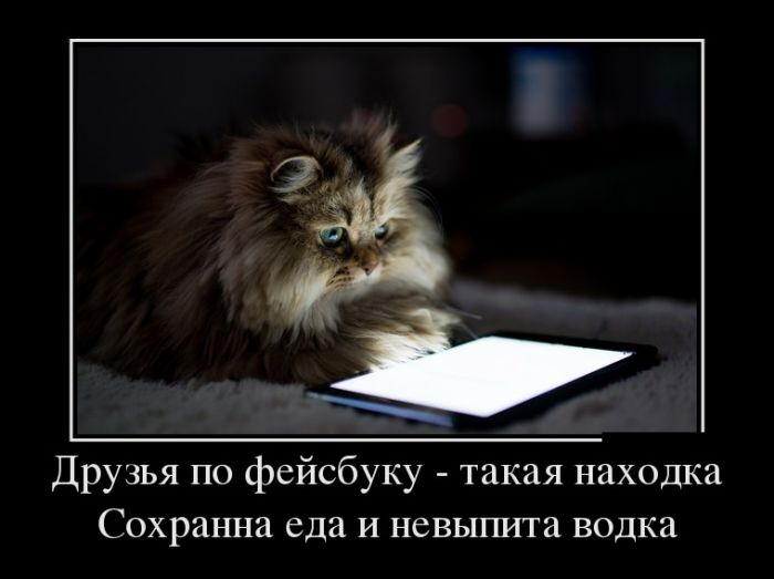Друзья по фейсбуку