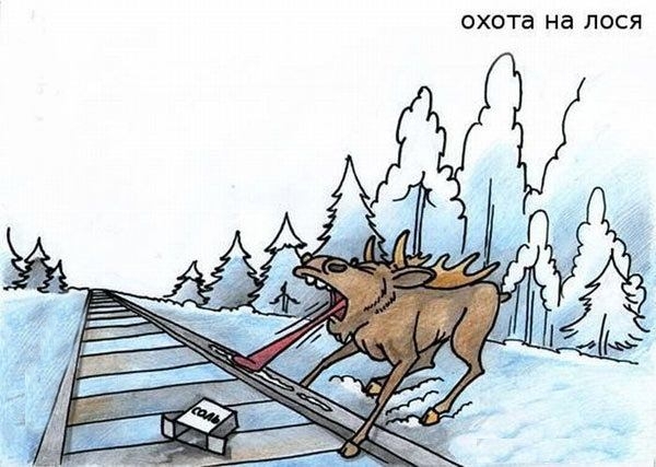 Охота на лося