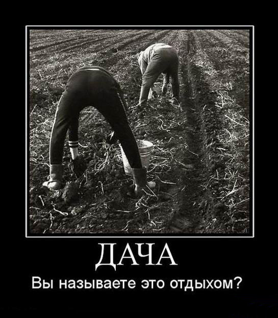 Дача