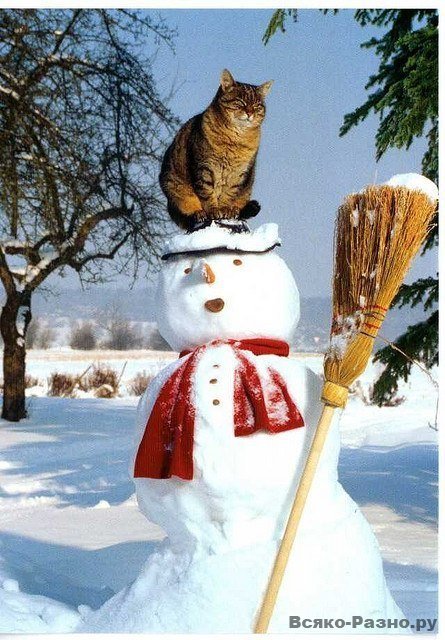 Снеговик-Andre