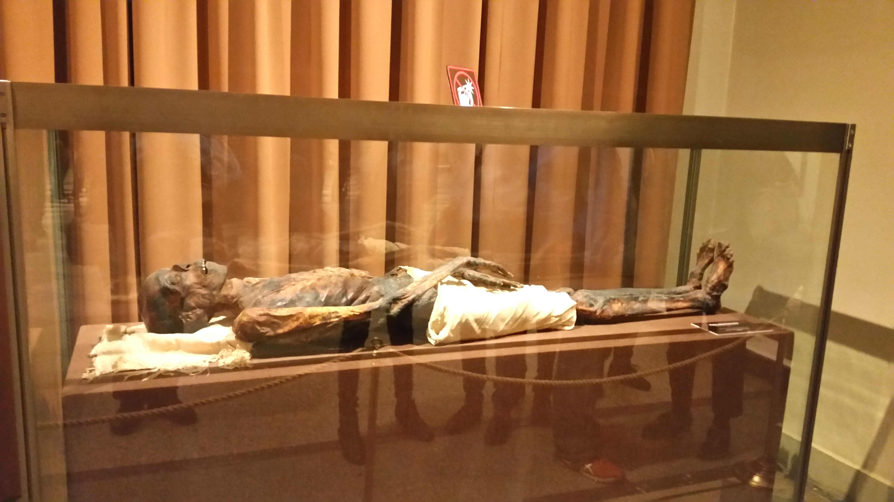 Моё, Санкт-Петербург, город, хорошо, Эрмитаж, мумия